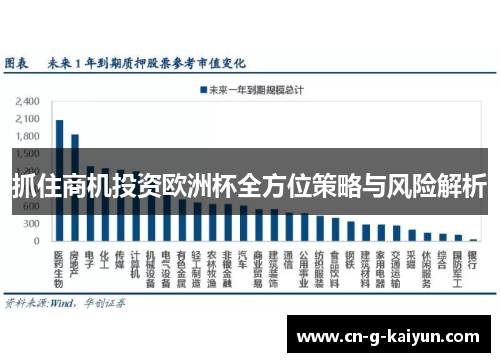 抓住商机投资欧洲杯全方位策略与风险解析