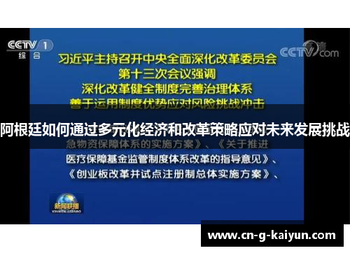 阿根廷如何通过多元化经济和改革策略应对未来发展挑战