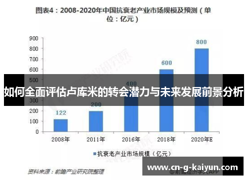 如何全面评估卢库米的转会潜力与未来发展前景分析