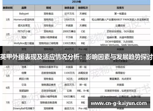 英甲外援表现及适应情况分析：影响因素与发展趋势探讨