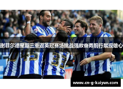 谢菲尔德星期三重返英冠赛场挑战强敌奋勇前行展现雄心