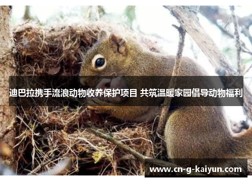 迪巴拉携手流浪动物收养保护项目 共筑温暖家园倡导动物福利