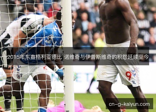 2015年东盎格利亚德比 诺维奇与伊普斯维奇的积怨延续至今